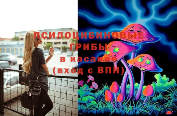 PSILOCYBIN Ряжск