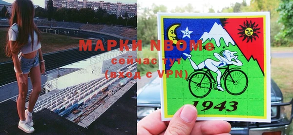 гашик Магас