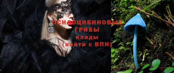 ГАЛЛЮЦИНОГЕННЫЕ ГРИБЫ Лабытнанги