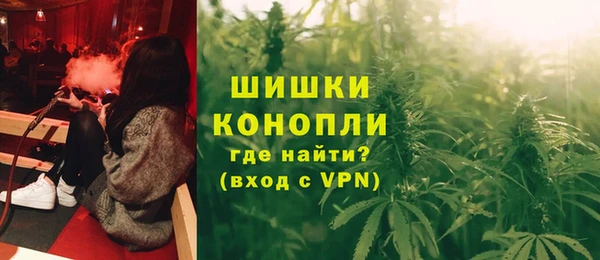 ГАЛЛЮЦИНОГЕННЫЕ ГРИБЫ Лабытнанги