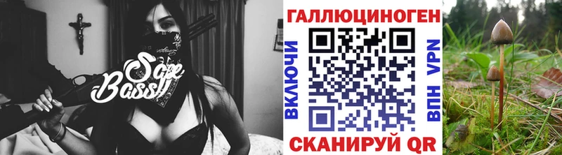kraken ССЫЛКА  хочу наркоту  Снежногорск  Псилоцибиновые грибы Cubensis 